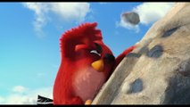 The Angry Birds Movie - Clip Mighty Eagle Noises (English) HD