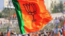 Madhya Pradesh bypolls: BJP wins 19 out of 28 seats, Congress manages 9