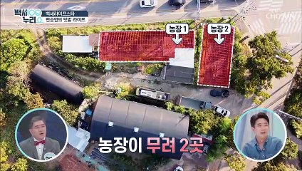 농장이 2곳 건강한 식재료 가득한 텃밭~ #광고포함