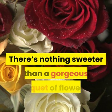 Mt. Washington Florist 1967 8 Mile Rd Cincinnati OH 45255 (513) 474-4158 Cincinnati Florist