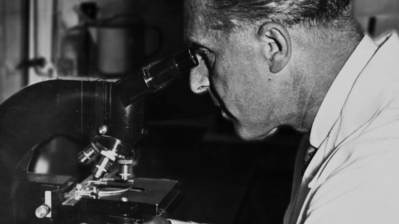 Hope For All - Clip 4 (Deutsch) HD