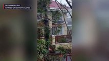 Typhoon Ulysses (Vamco) brings down trees and posts in Pili, Camarines Sur