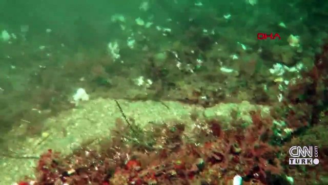 Çanakkale'de dalgıçlar deniz tabanını temizledi | Video