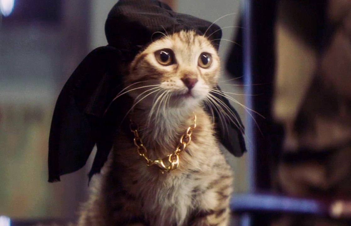 Keanu - Trailer (Deutsch) HD