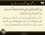 Amal Ka Zimmedar Khud  | Surat Younus 41 |  Ayat