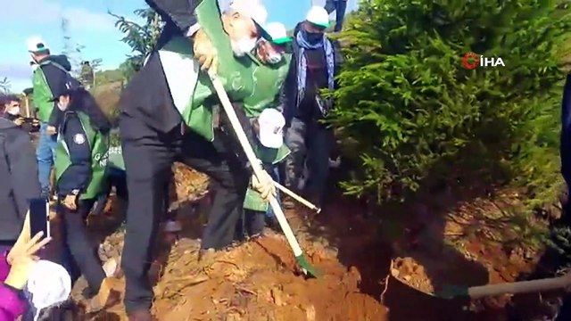 Heybeliada’da yanan ormanlık alana yüzlerce fidan dikildi