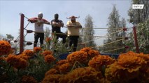 Mexican masked wrestlers grow marigold to survive COVID hardship