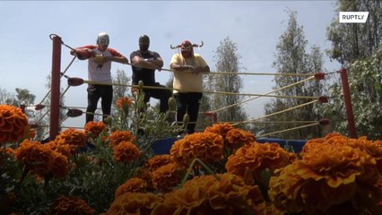 Mexican masked wrestlers grow marigold to survive COVID hardship