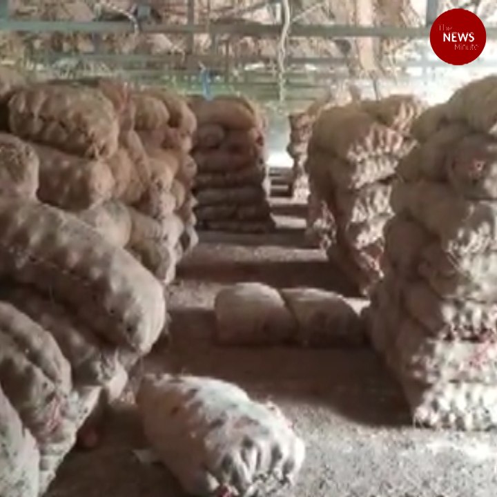 480 tonnes of Bellary onions seized from poultry farms in TN’s Perambalur