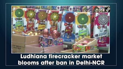 Ludhiana firecracker market blooms after ban in Delhi-NCR