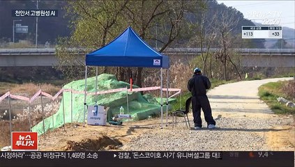 야생조류서 또 고병원성 AI…가금류 농가 비상