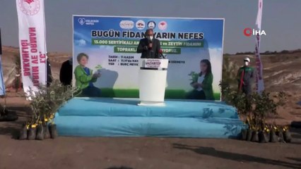 Gaziantep’te 4 milyon fidan toprakla buluştu