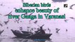 Siberian birds enhance beauty of river Ganga in Varanasi