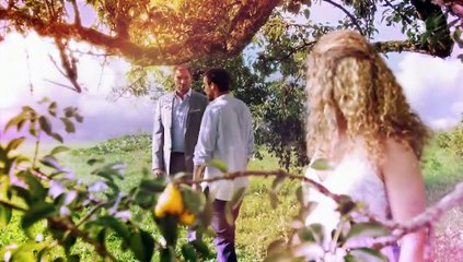 Sturm der Liebe Folge 3489 Im Alleingang