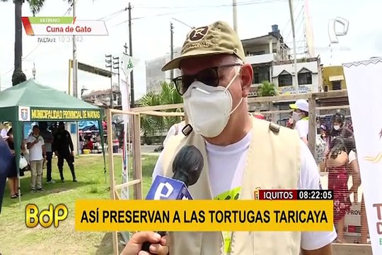 EXCLUSIVO | Desde Iquitos la conservación de las tortugas taricayas