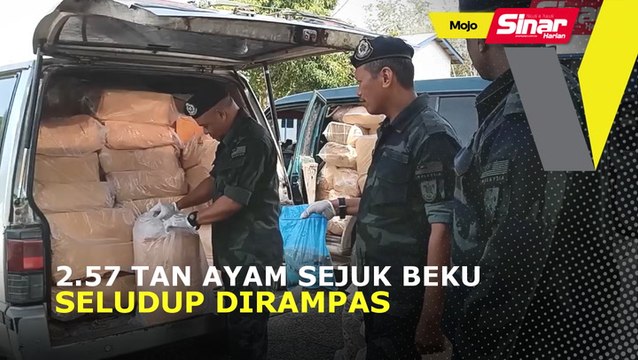 2.57 tan ayam sejuk beku seludup dirampas