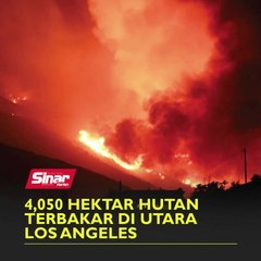 4,050 hektar hutan terbakar di utara Los Angeles