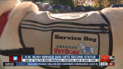 Sully H.W. Bush now has two statues honoring the pup