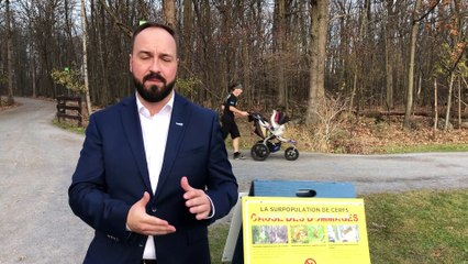 Le porte-parole de la Ville Carl Boisvert explique l'opération de contrôle des cerfs au parc Michel-Chartrand