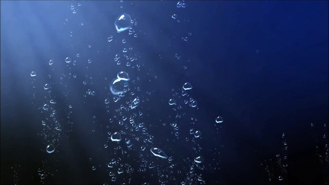 Amazing Underwater