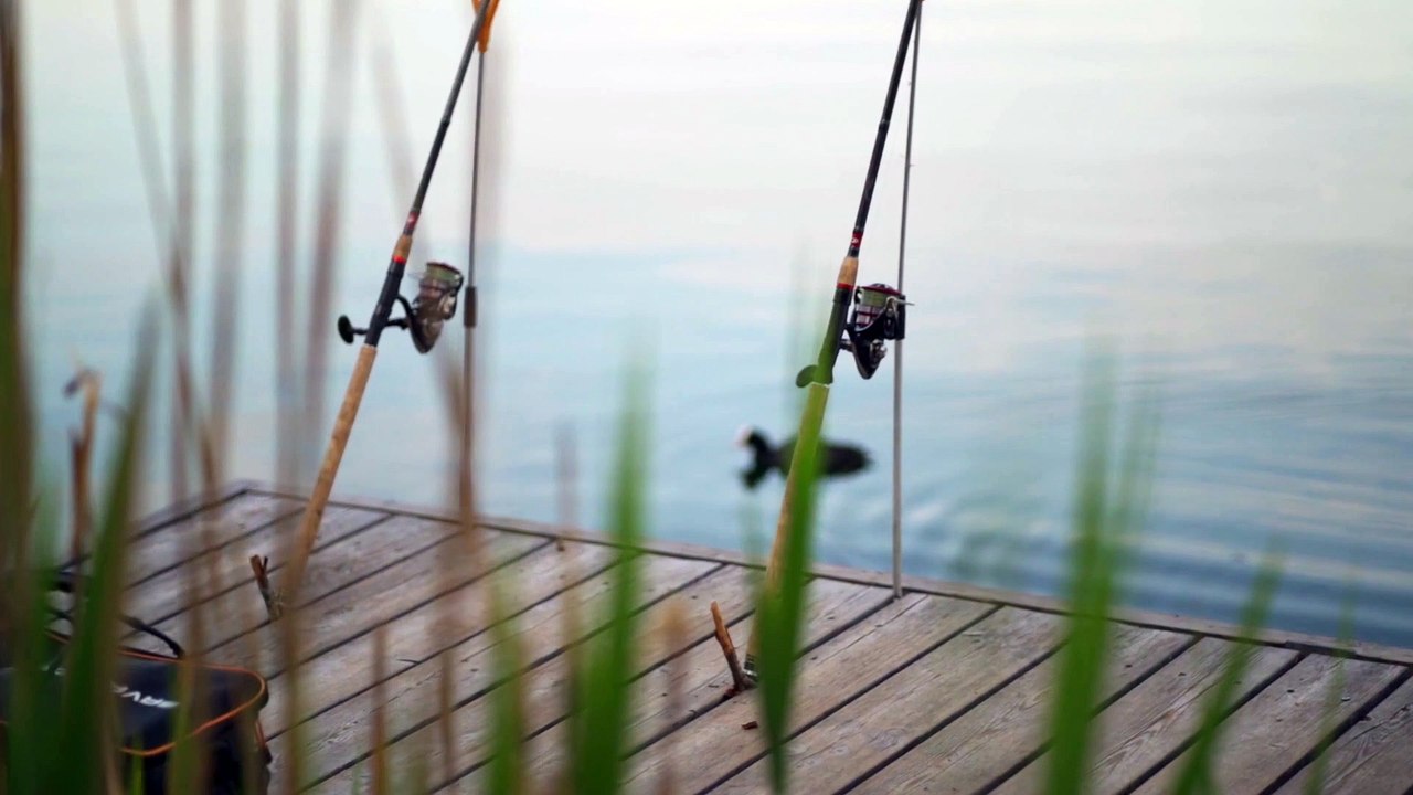 Fishing In Lake