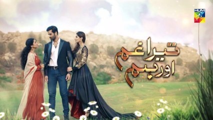 Tera Ghum Aur Hum Episode 40 Promo HUM TV Drama