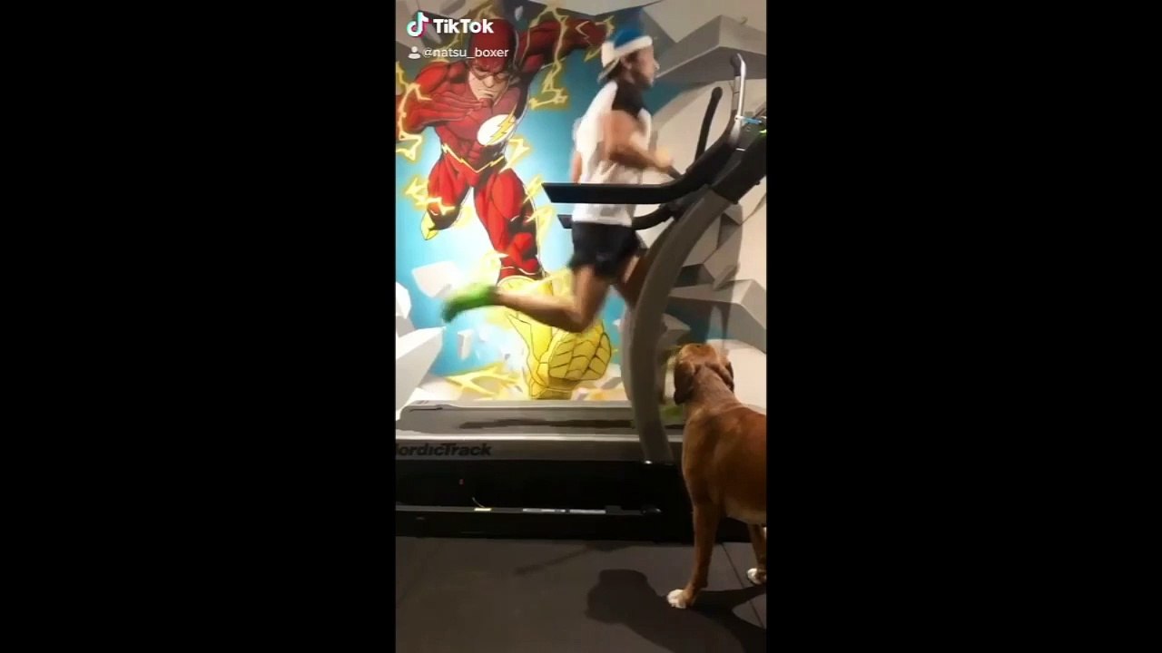 INSOLITE - Antony et les prouesses de sa chienne Natsu enflamment les réseaux sociaux