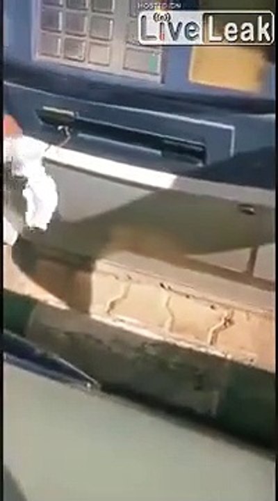 Une souris coincée dans un distributeur de billet... Petite voleuse