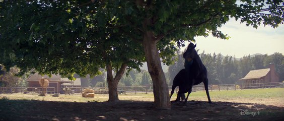 Black Beauty - Tráiler oficial español