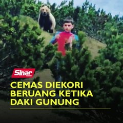 Descargar video: Cemas diekori beruang ketika daki gunung