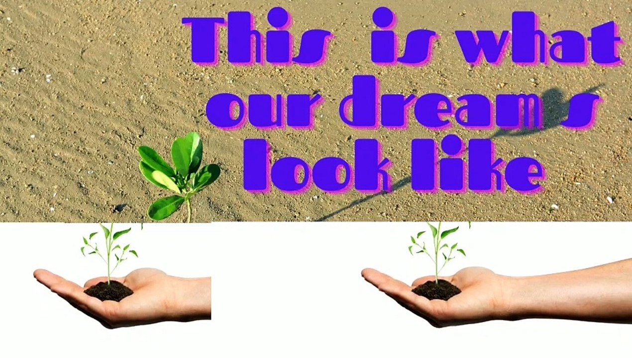 This is what our dreams look like//motivational video//motivational//motivational vide pH