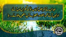 Klam mian muhammad bakhsh | mian muhammad bakhsh klaam lyrics in urdu | poetry | punjabi poetry new poetry | punjabi shairi