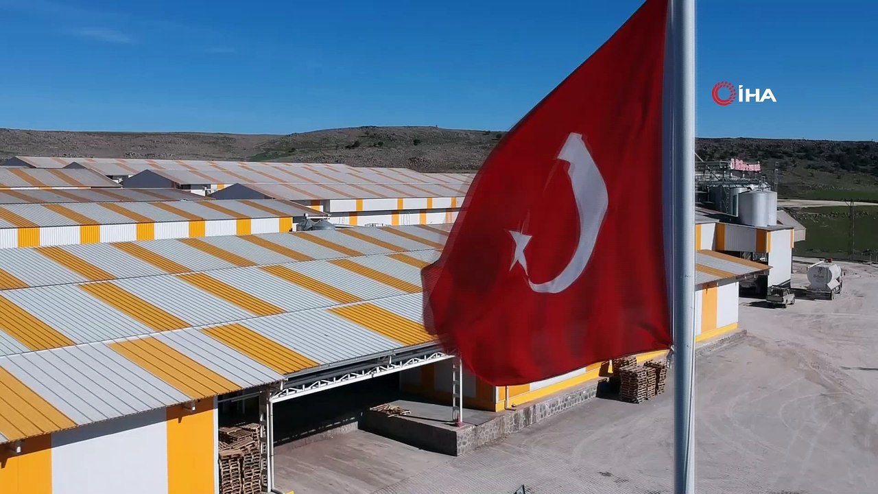 Irak krizinde dip yapan yumurta fiyatı pandemi sürecinde arttı