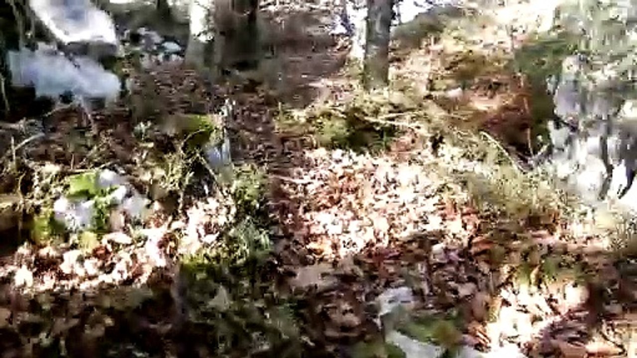 Auf dem Weg zu den Barmsteinzwergen