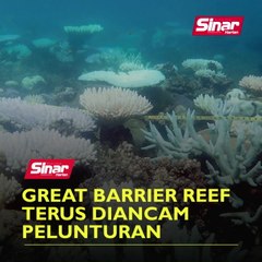 Great Barrier Reef terus diancam pelunturan