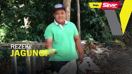 Hasil jual jagung sara keluarga