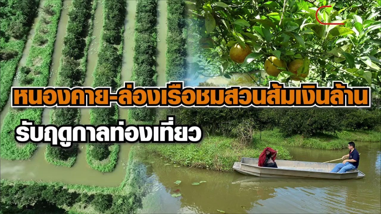 หนองคาย-ล่องเรือชมสวนส้มเงินล้าน รับฤดูกาลท่องเที่ยว