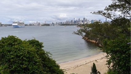 Royal Caribbean Looking For "Test Cruise" Volunteers