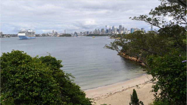 Royal Caribbean Looking For Test Cruise Volunteers