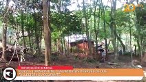 Iguazú: tomaron una casa minutos después de que falleciera su ocupante
