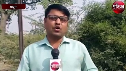 गोवर्धन में राधा कुंड से निकल रही दूध की धार, श्रद्धालु चकित