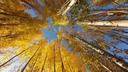 Bitlis’te Sonbahar Güzelliği