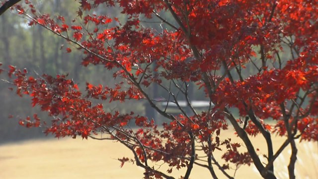 [날씨] 내일까지 중서부 초미세먼지...대기 건조, 화재 유의 / YTN