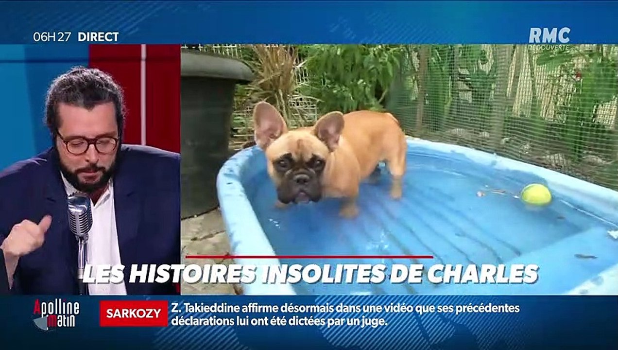 «Les 3 histoire de Charles Magnien » : De plus en plus de chats dans nos foyers, une Anglaise vit un enfer à cause de son prénom et une main robotique pour lutter contre la solitude - 12/11