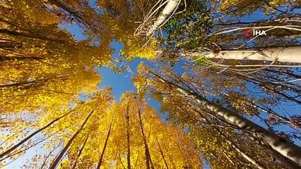 Bitlis’te sonbahar güzelliği