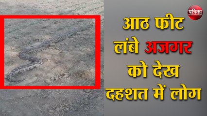 आठ फ़ीट लंबे अज़गर को देख दहशत में लोग