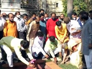 पूर्व लोकसभा स्पीकर ने बांटे तुलसी के पौधे, कहा सभी लोग लगाएं तुलसी