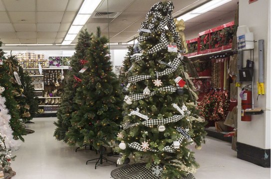 A Festive Fix: Man fills potholes with Christmas trees