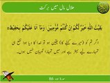 Halal Maal | Surat Hud 86 | Ayat | HD