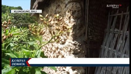 Potret Kemiskinan Dampak Pandemi Covid-19